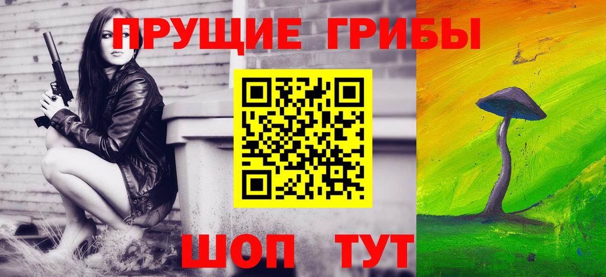 Псилоцибиновые грибы Cubensis Гуково