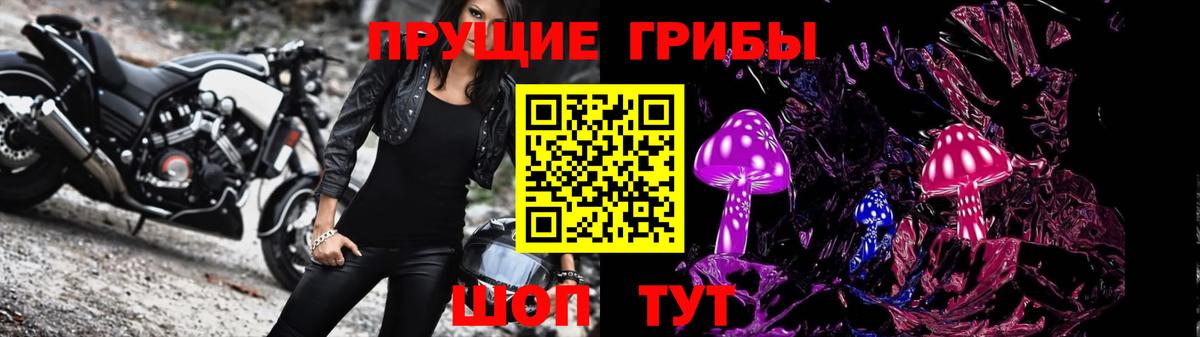 Гуково  Псилоцибиновые грибы Magic Shrooms  Вход с VPN  Галлюциногенные грибы Psilocybe 