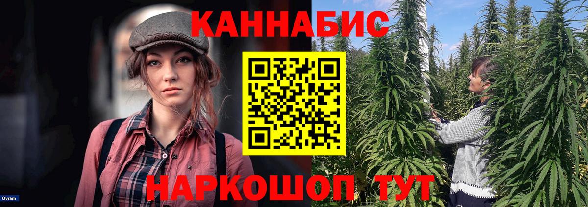 Каннабис гибрид  Конопля OG Kush  Вход с VPN  Каннабис марихуана  Гуково 